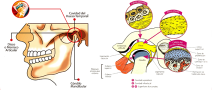 DOLOR OROFACIAL Y ATM