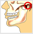 Dolor Orofacial y ATM