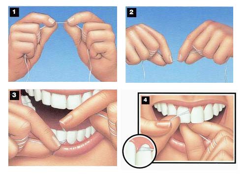 hilodental