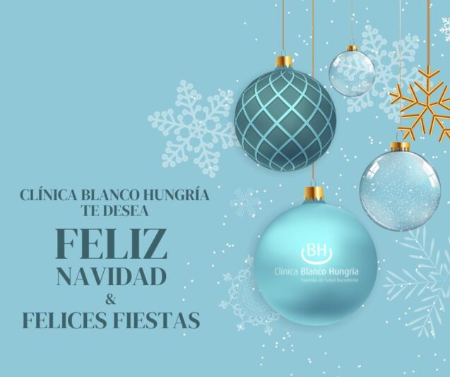 ¡Feliz Navidad y Fiestas!