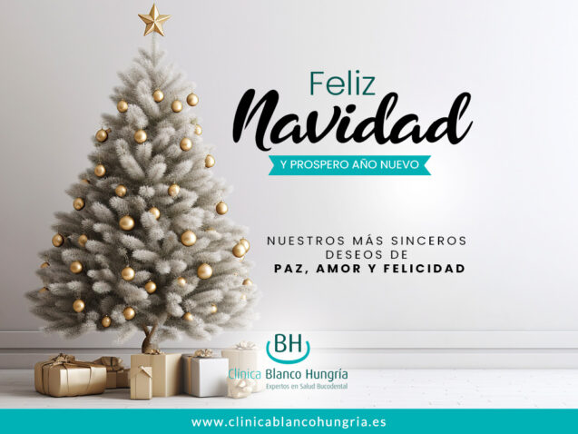 ¡FELICES FIESTAS!